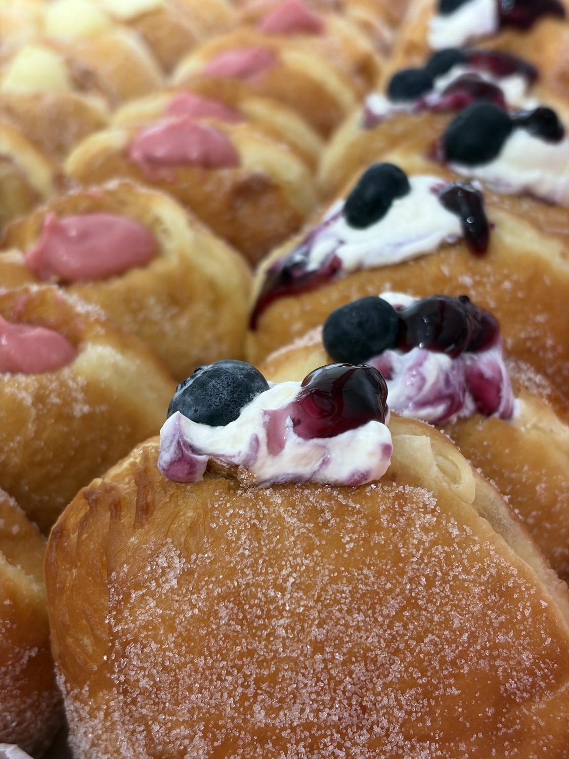 Cream-filled sugar bomboloni donuts