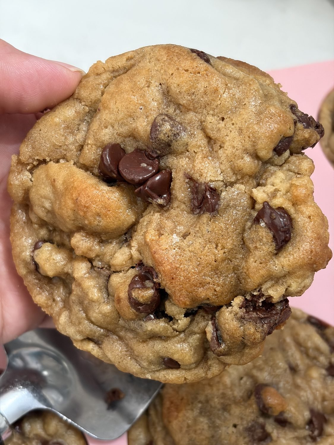 Classic chocolate chip cookie